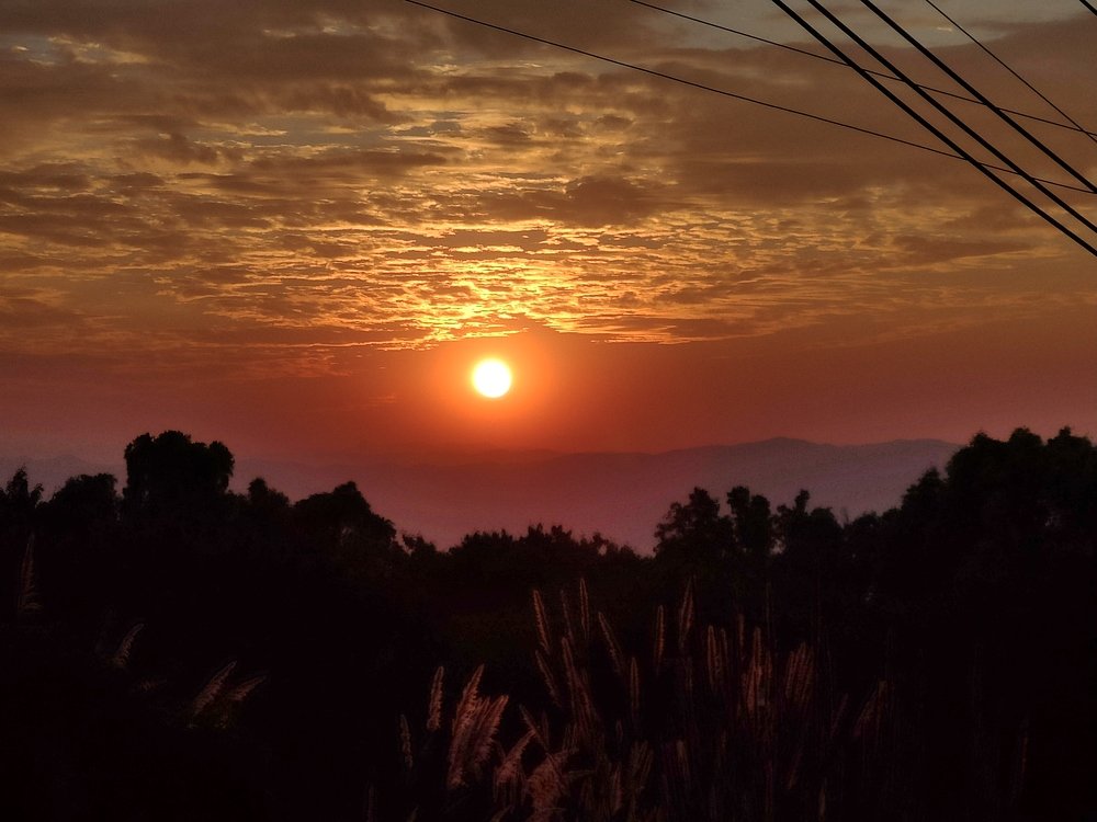 Photo #4069757