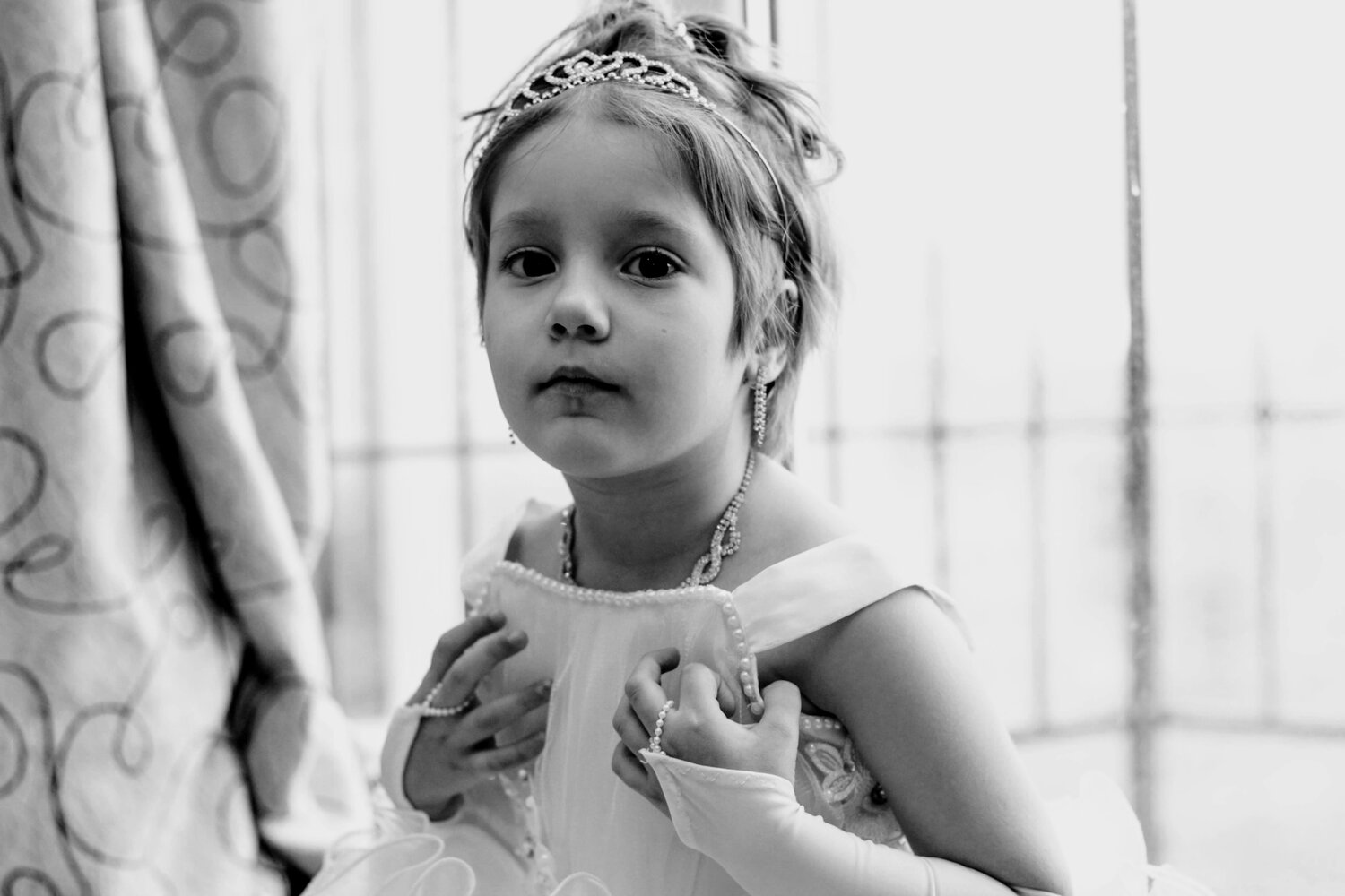 Photo #4069861