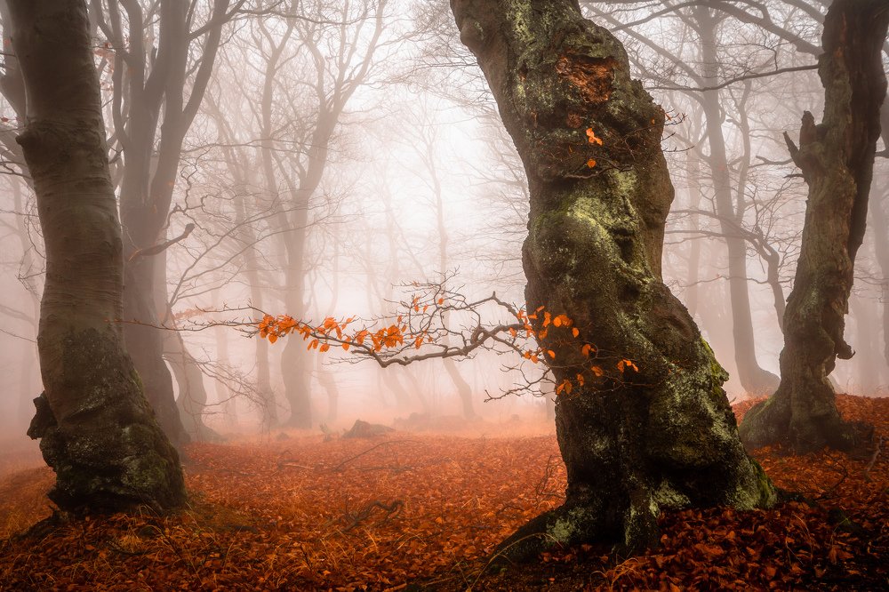 Photograph by Luboš Prchal