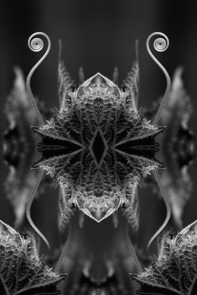 Креативная концептуальная абстракция...