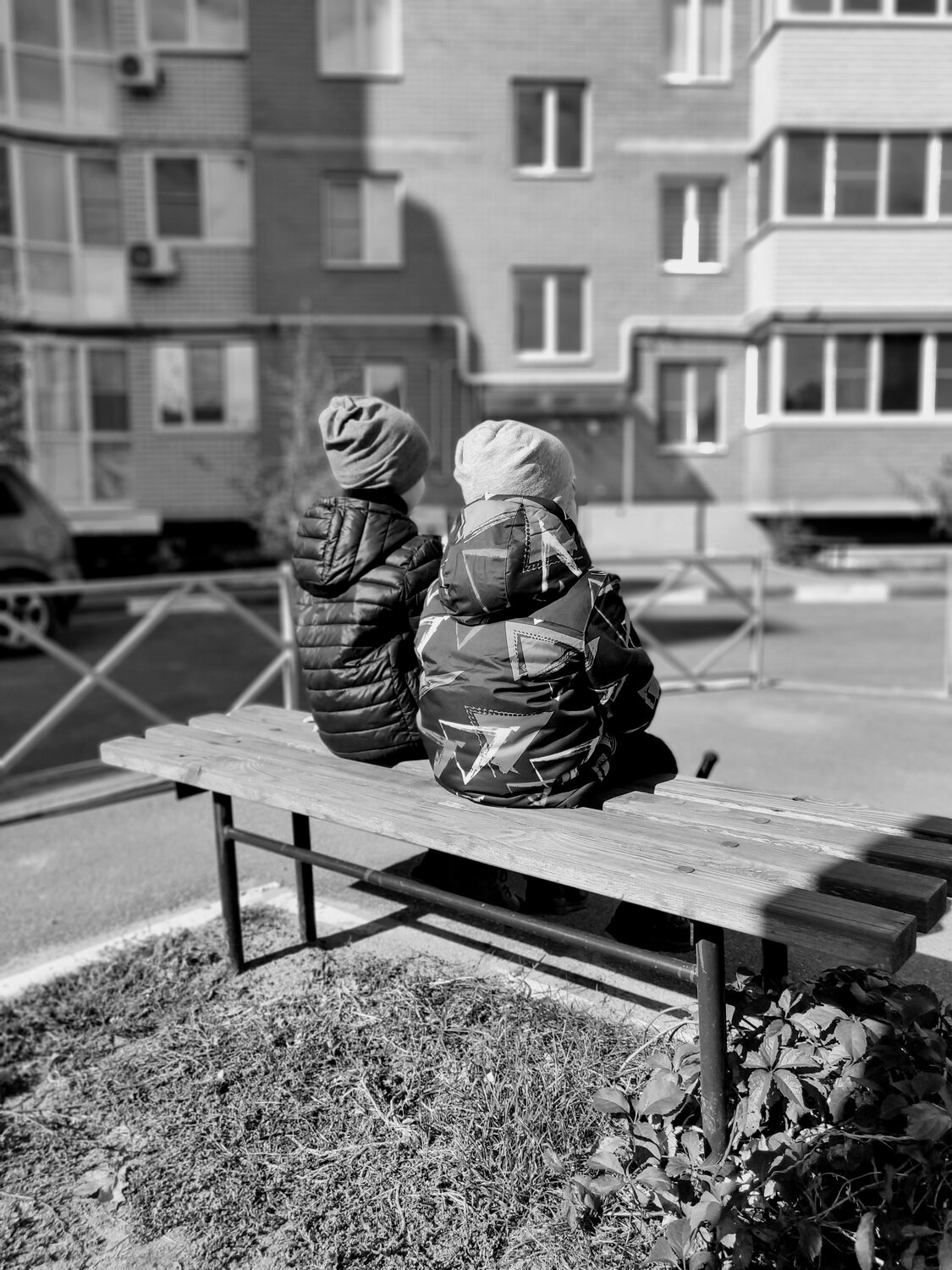 Photo #4069974