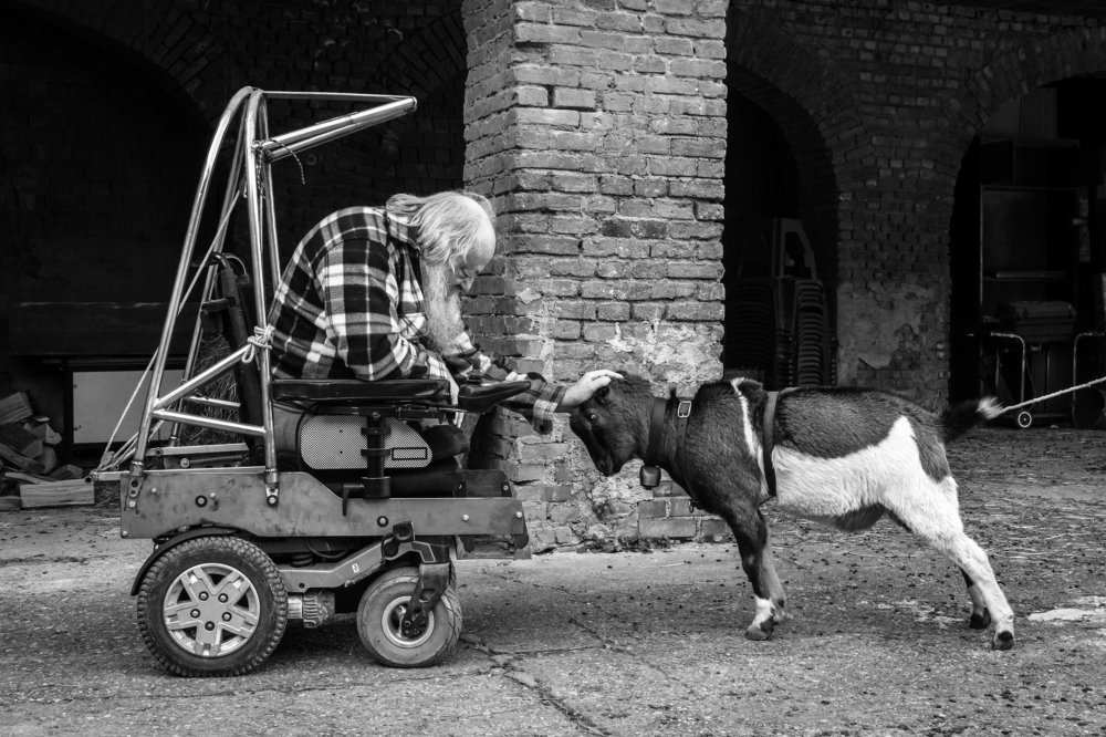 Rotellando Verso Sud