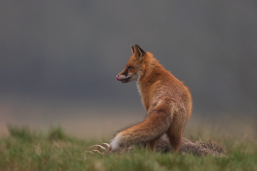 Photograph by Wieńczysław Rak