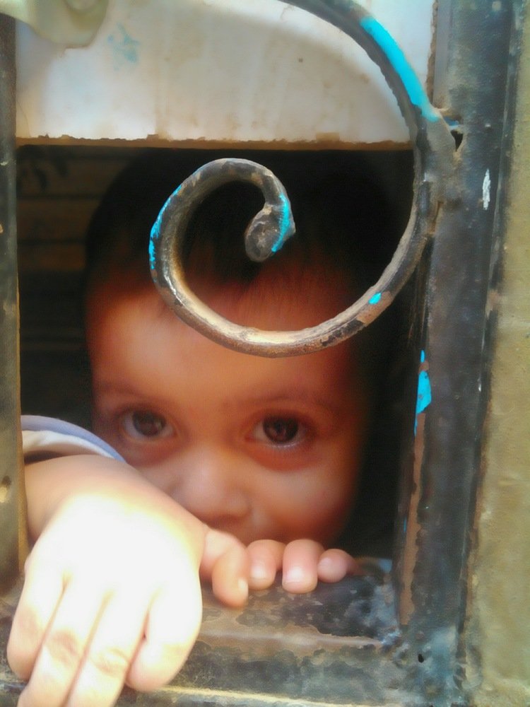 Фотография автора Adel elqamhawi Mohamed