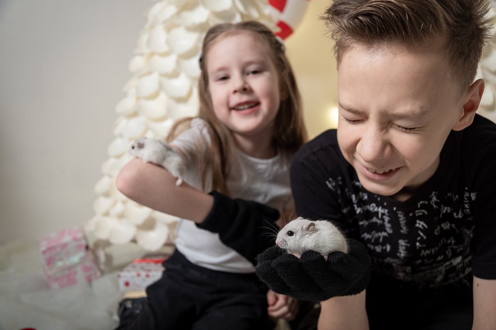 Photograph by Полина Кожухарь