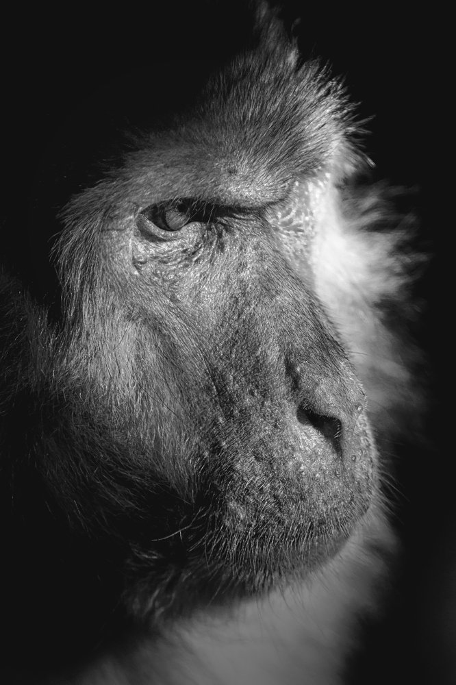 Photograph by Александр Баранов