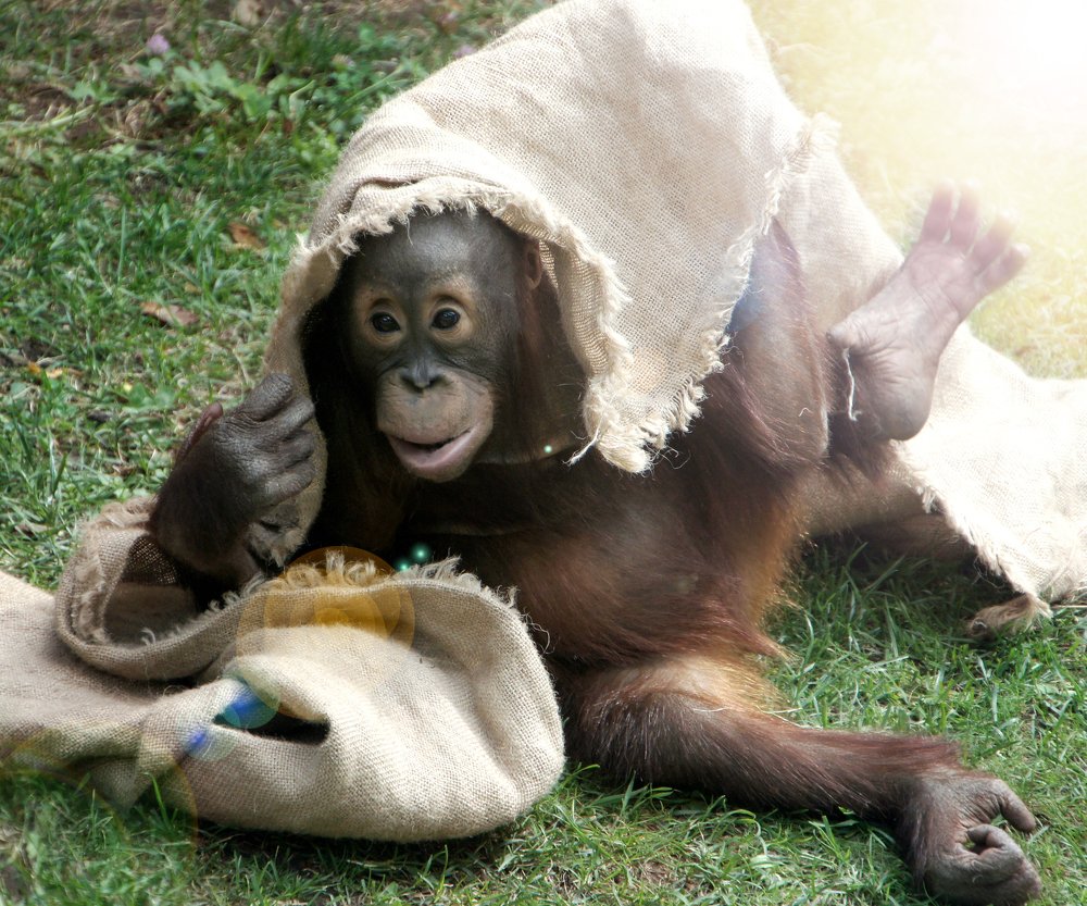 Фотография автора Марина