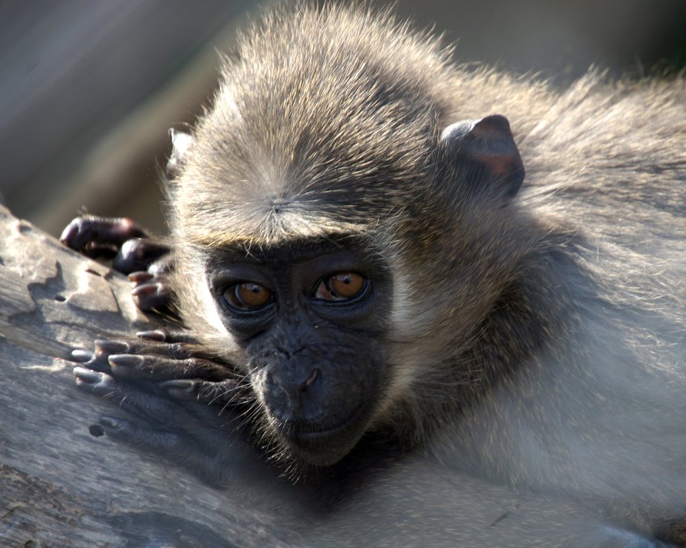 Фотография автора Марина