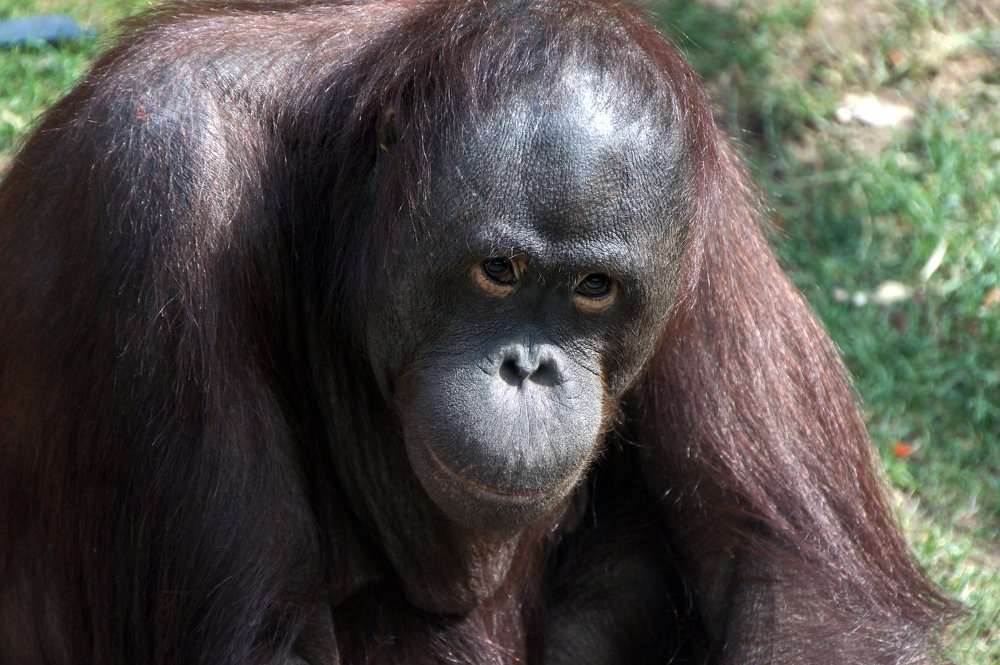 Фотография автора Марина