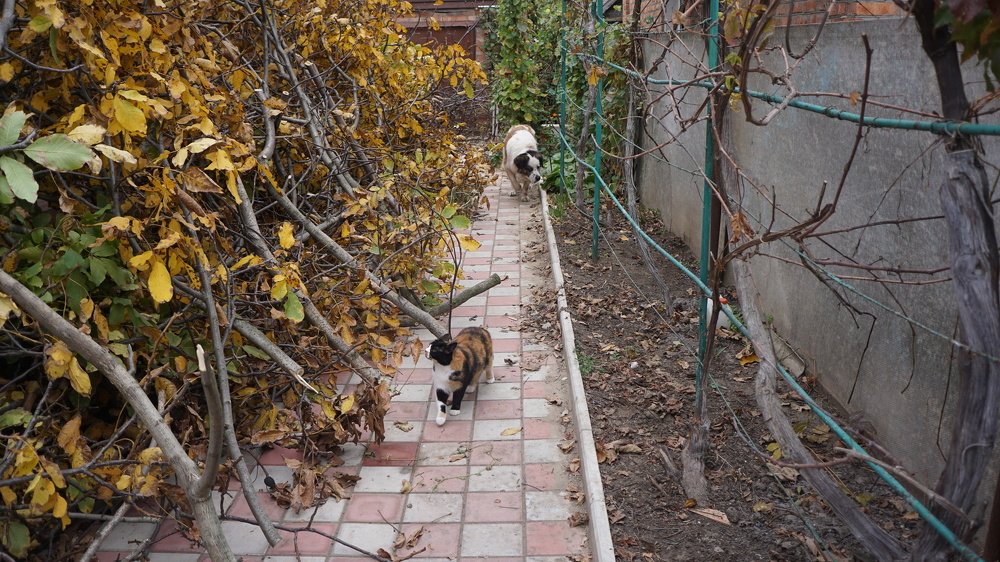 Photograph by Аркадий Смирнов