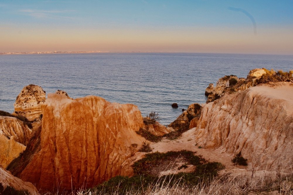 Photograph by Olga Pereira