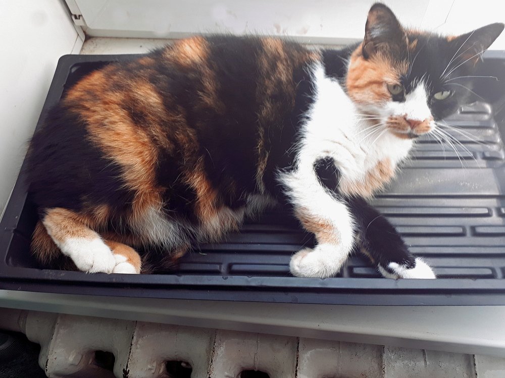 Photograph by Аркадий Смирнов