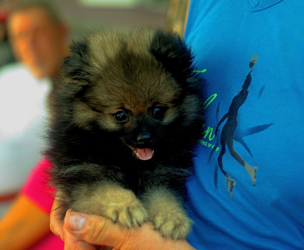 Photograph by Аркадий Смирнов