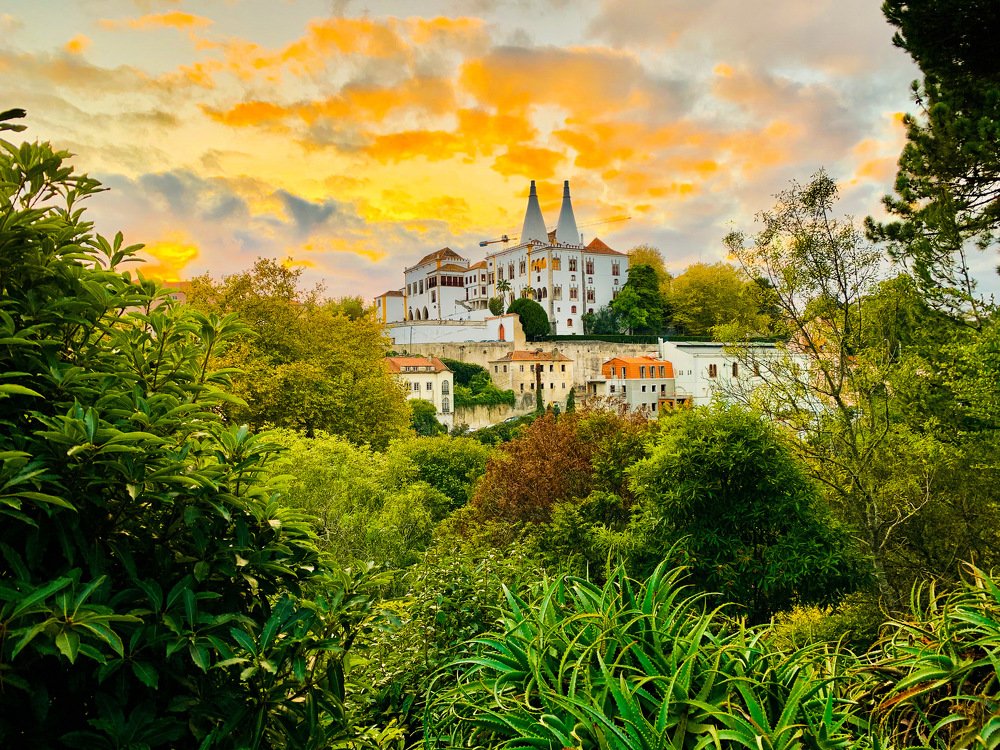 Photograph by Olga Pereira