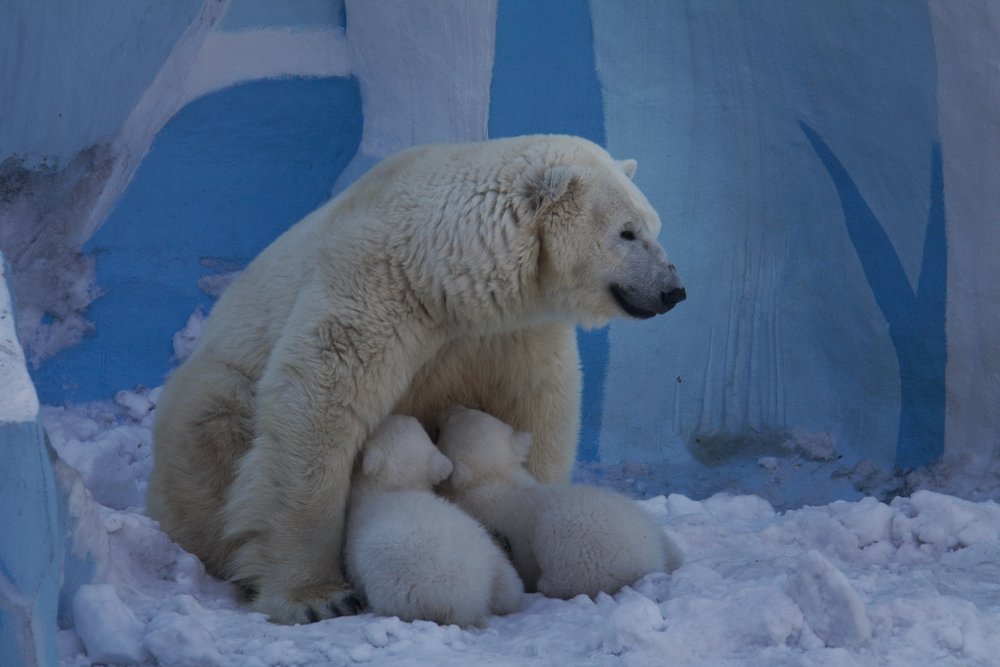 Photograph by Наталья Адалинская