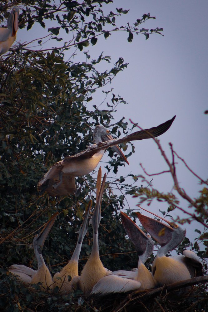 Photograph by Sahitya Murali