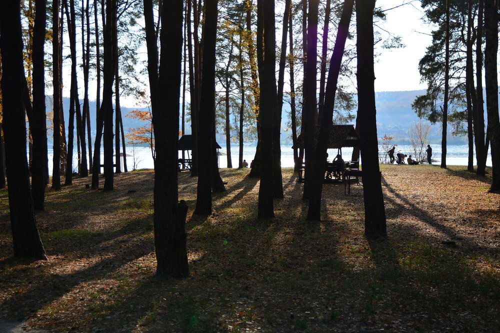 Photograph by Сергей Кривоносов