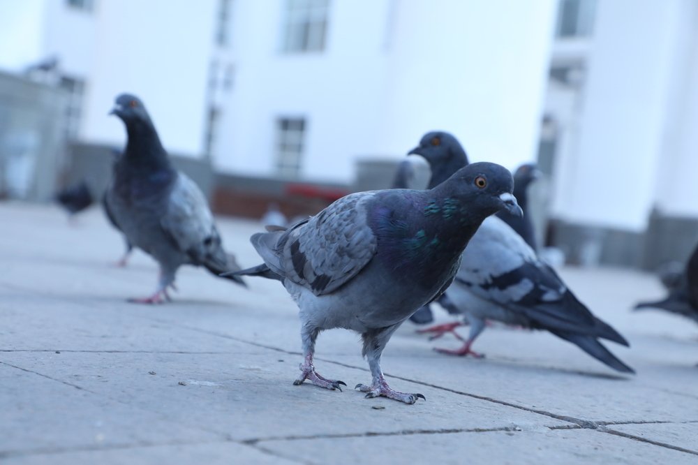 Photograph by Beybit Bertaev