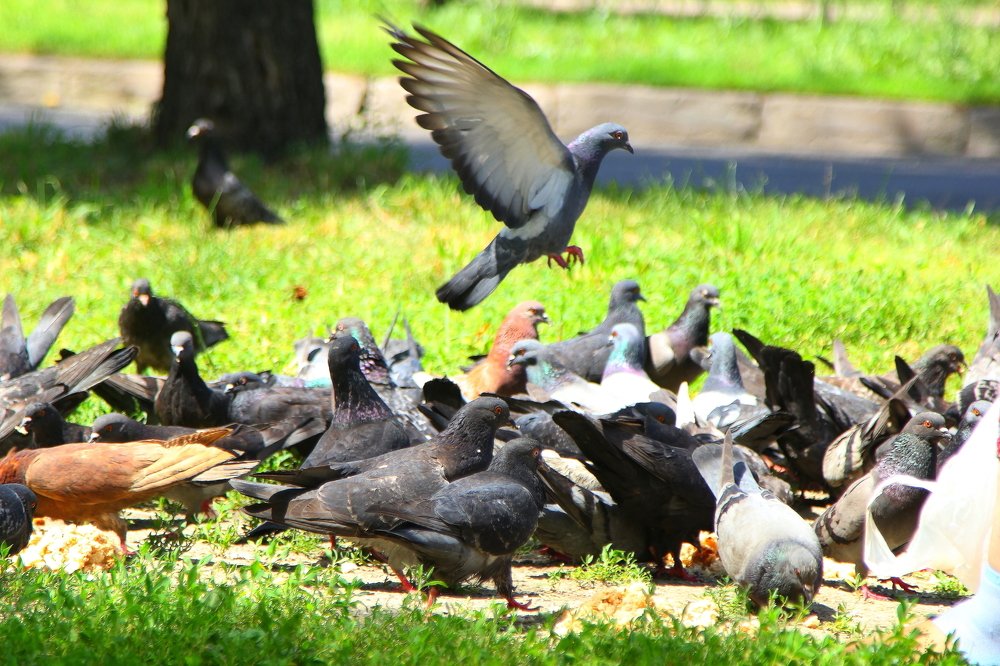 Photograph by Beybit Bertaev