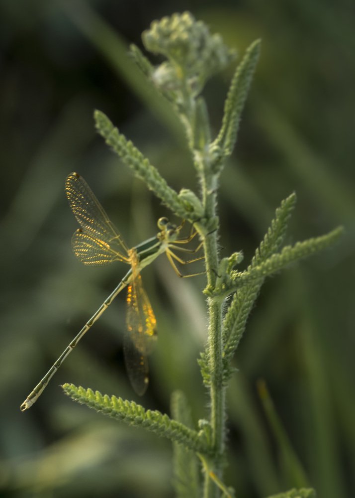 Photograph by Михаил Усачук