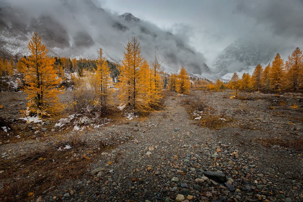 Photograph by Юрий Головченко