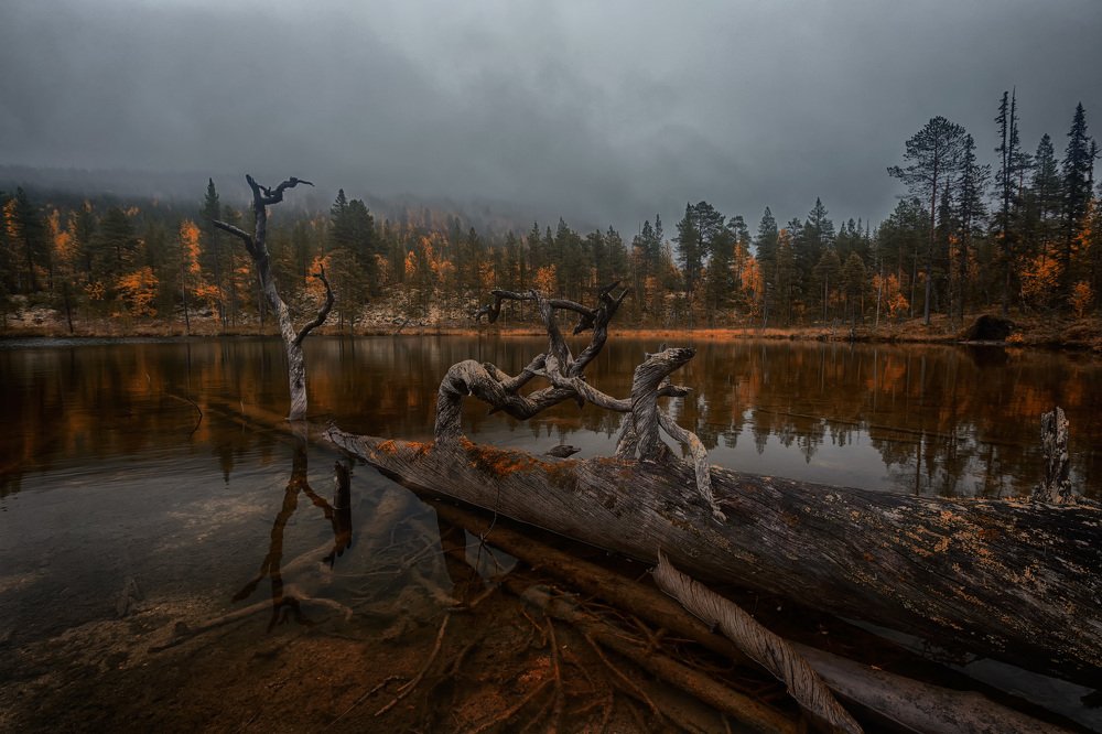 Photograph by Юрий Головченко