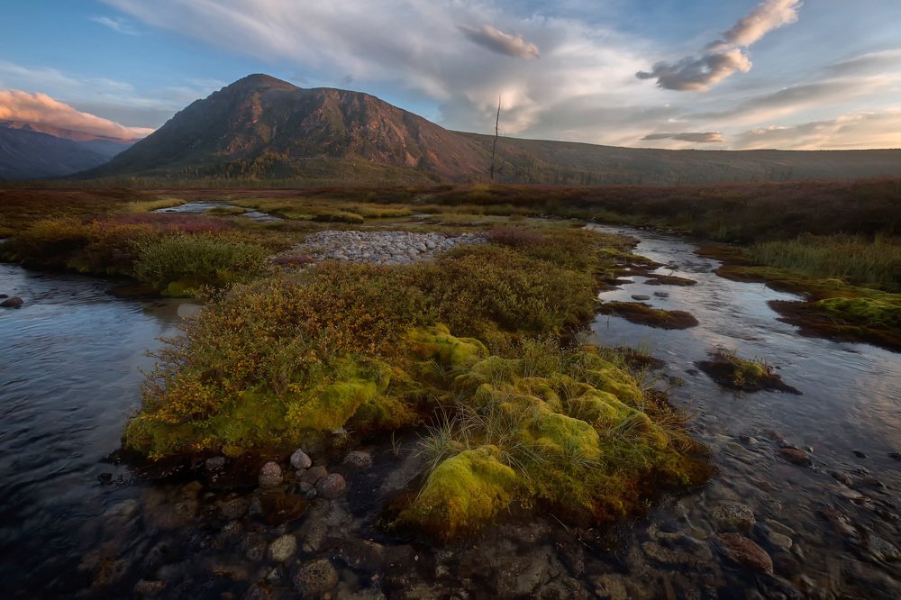 Photograph by Юрий Головченко
