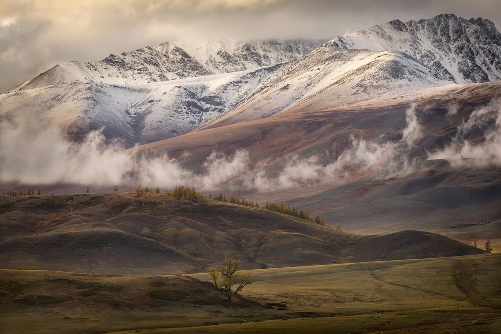 Photograph by Юрий Головченко