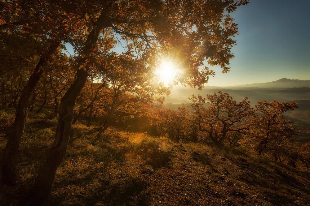 Photograph by Юрий Головченко