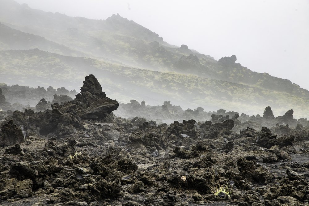 Фотография автора Christian Brogi