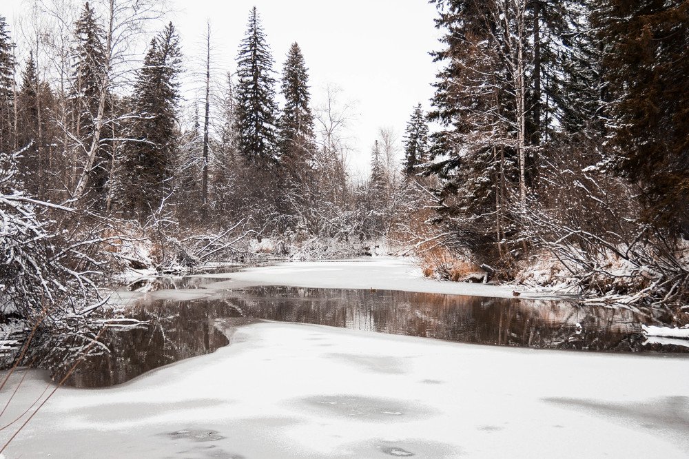 Photograph by Вадим Басов