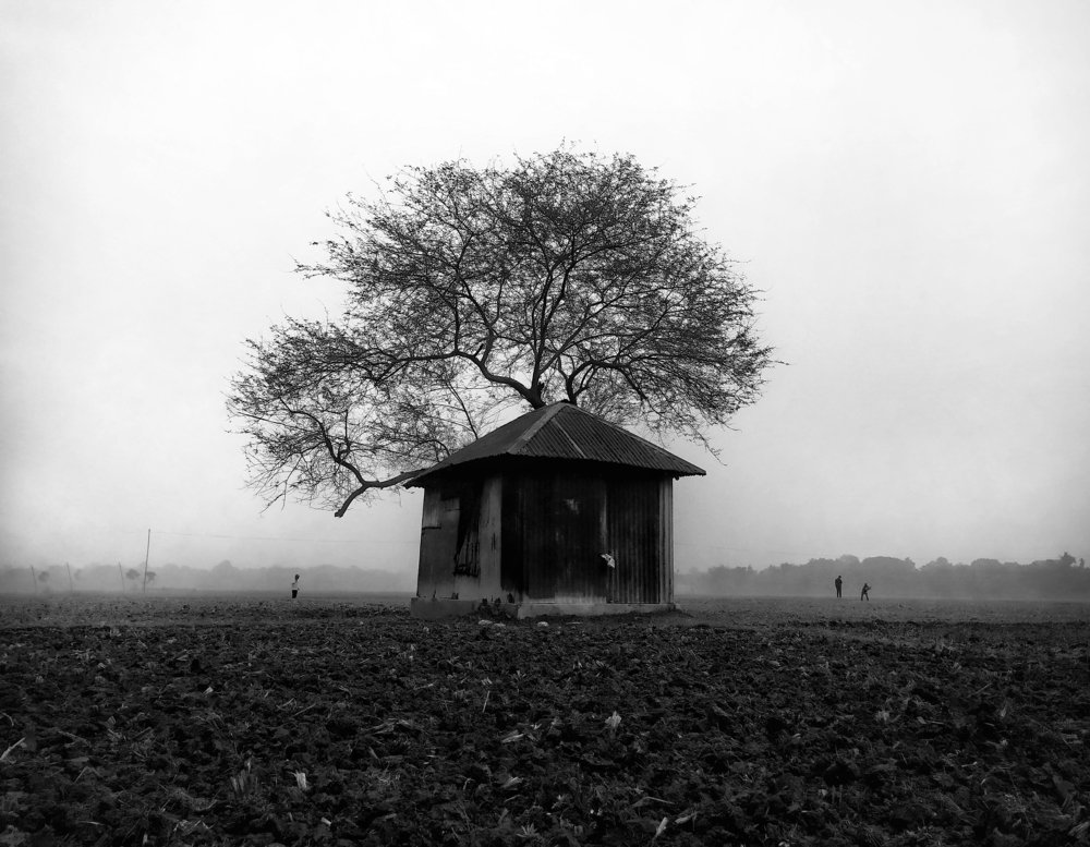 Photograph by Md Nayon Hossain