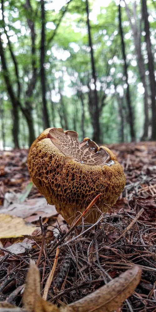 Photograph by Марина Шамич