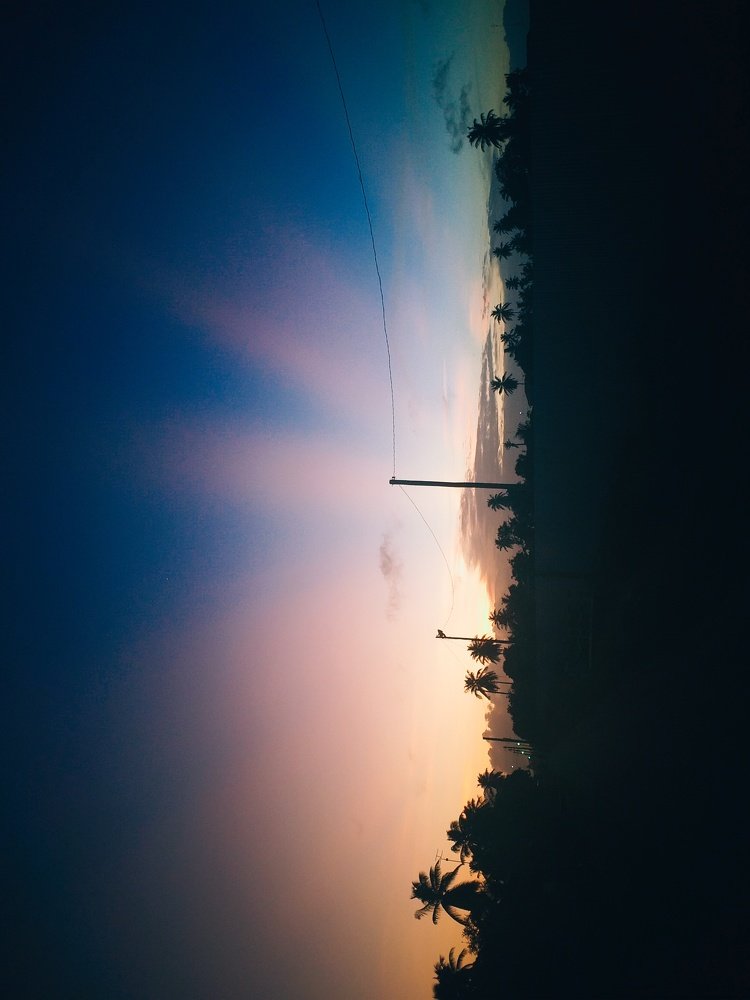 Photo #4070875