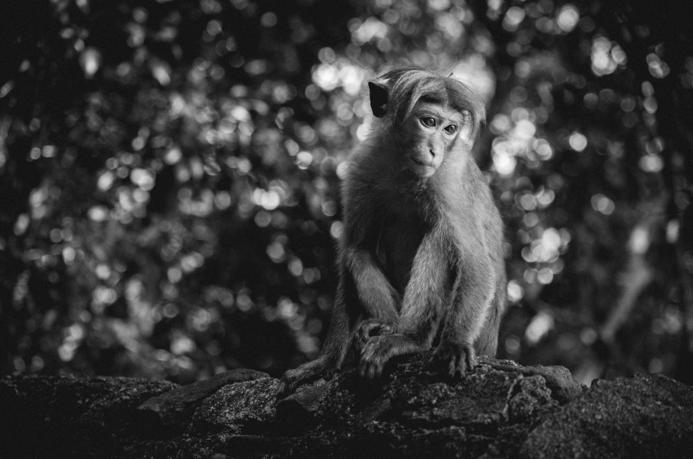 Photograph by Artsrun Ganjalyan