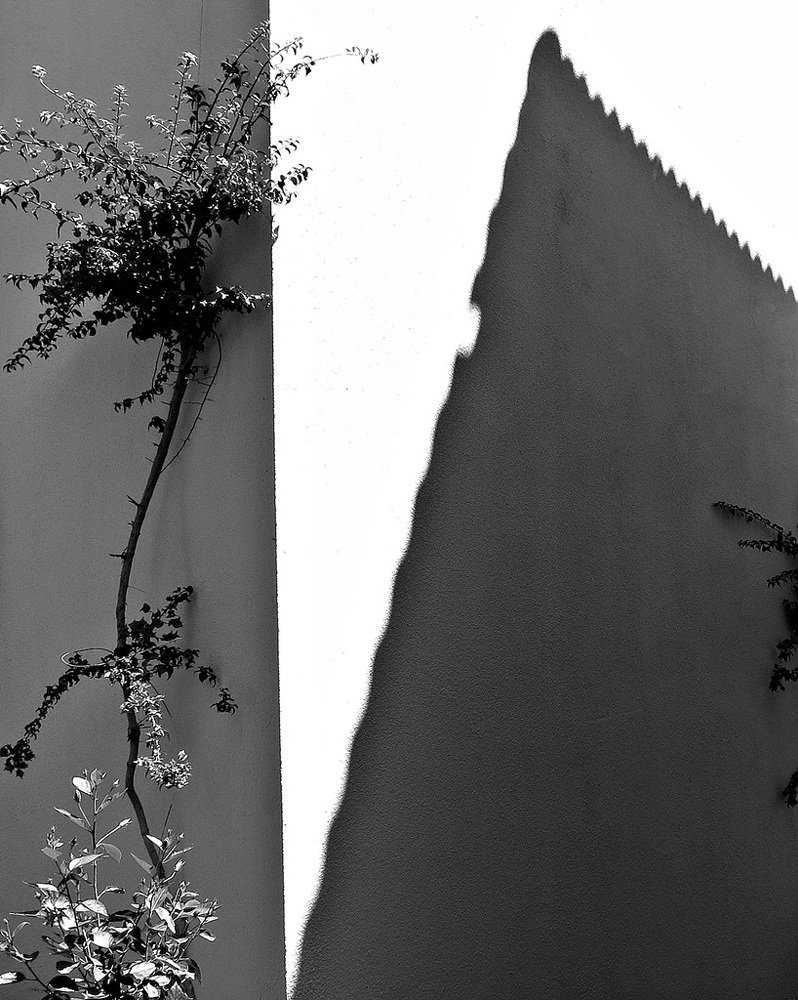 Photograph by Степанов Евгений