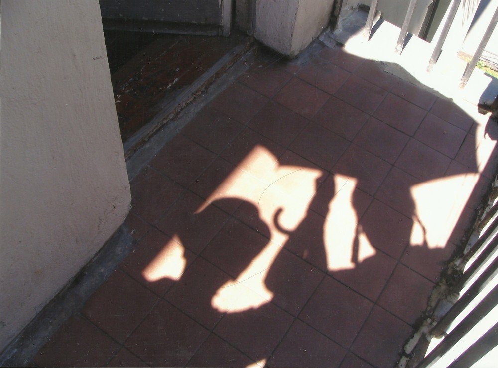 Photograph by Ирина