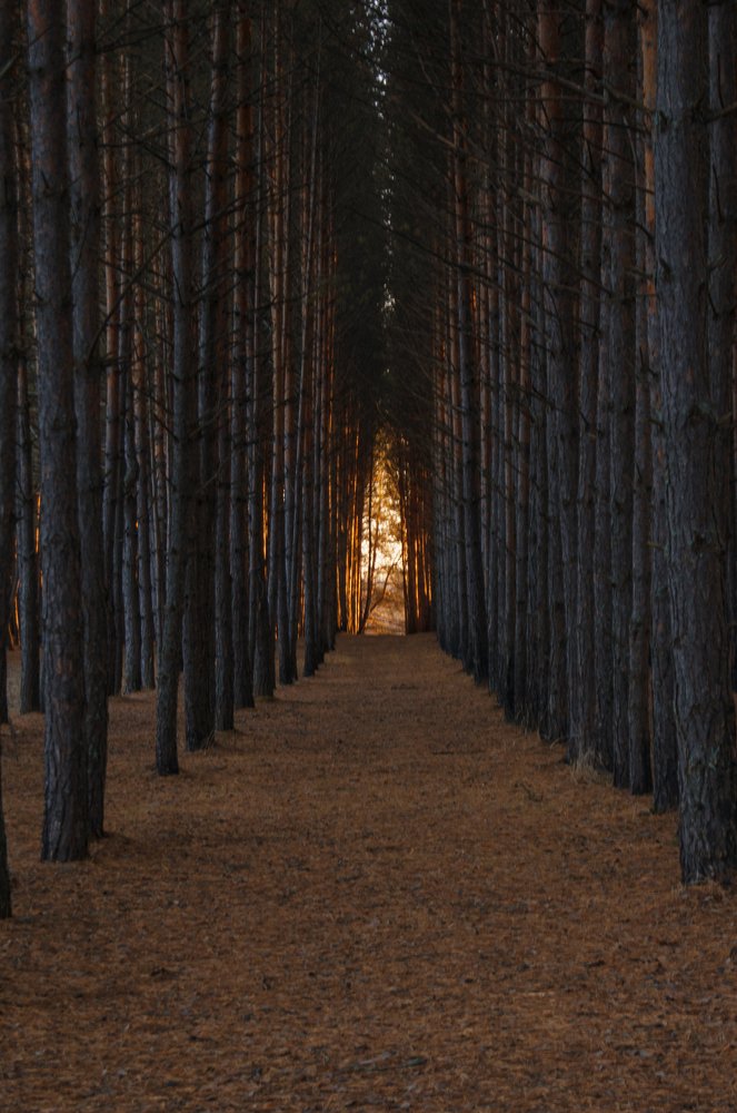 Закат в конце тоннеля