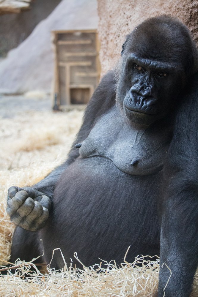 Photograph by Сергей Боравцов