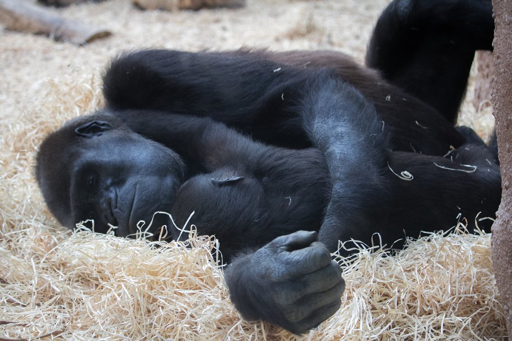 Photograph by Сергей Боравцов