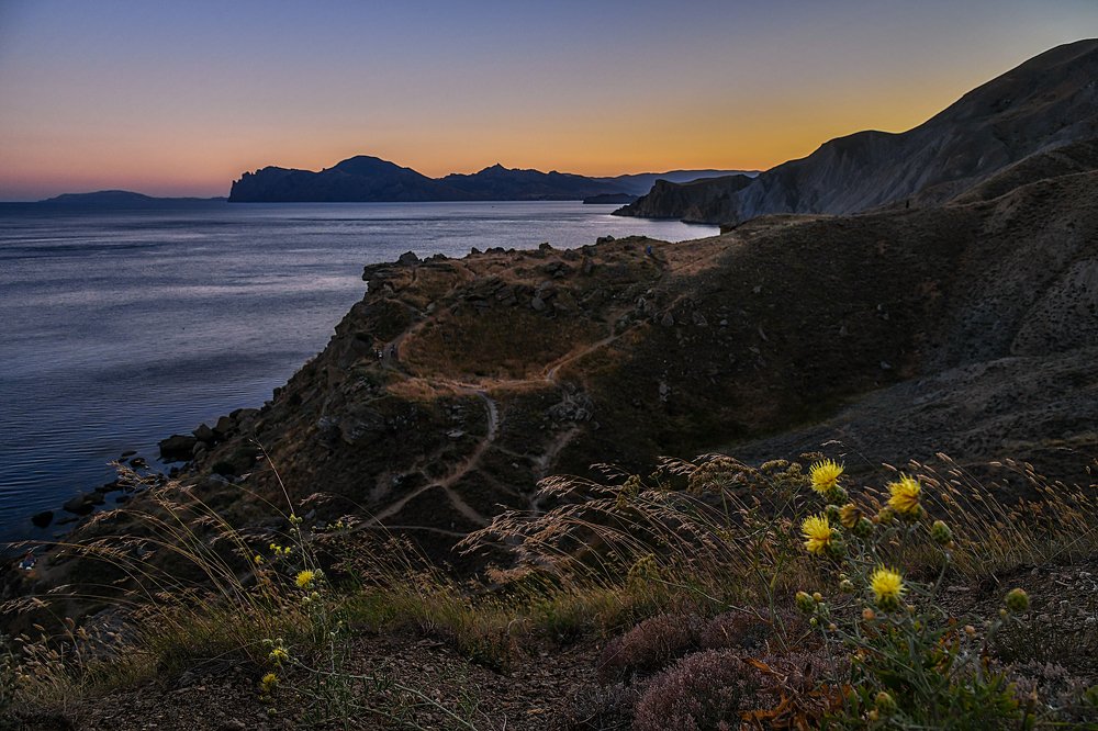 Фотография автора Александра Елагина