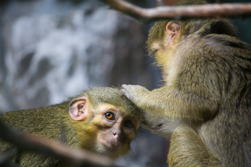 Photograph by Сергей Боравцов