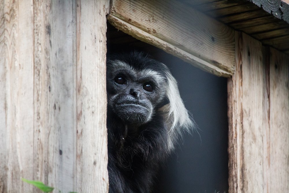 Photograph by Сергей Боравцов