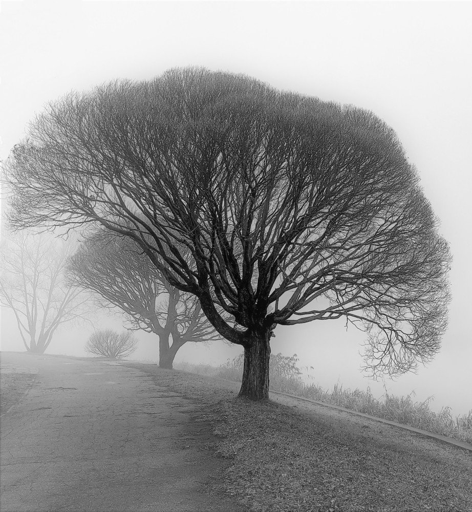 Photograph by Владимир Шнип