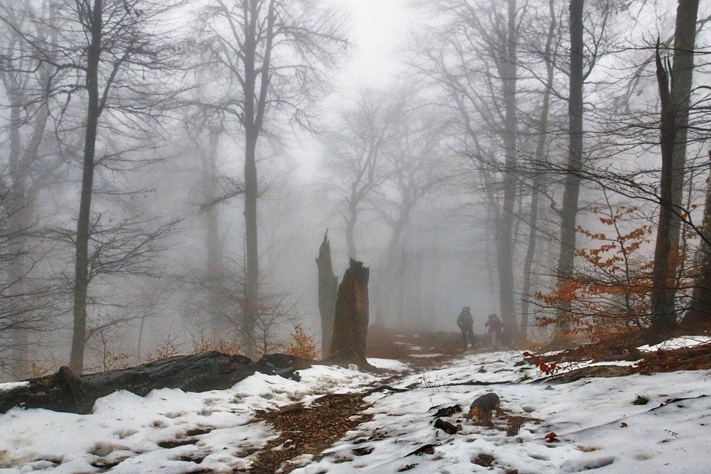 Photograph by Михаил Баевский