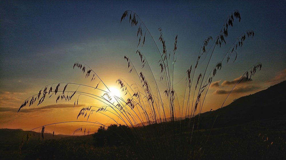 Photo #4071103