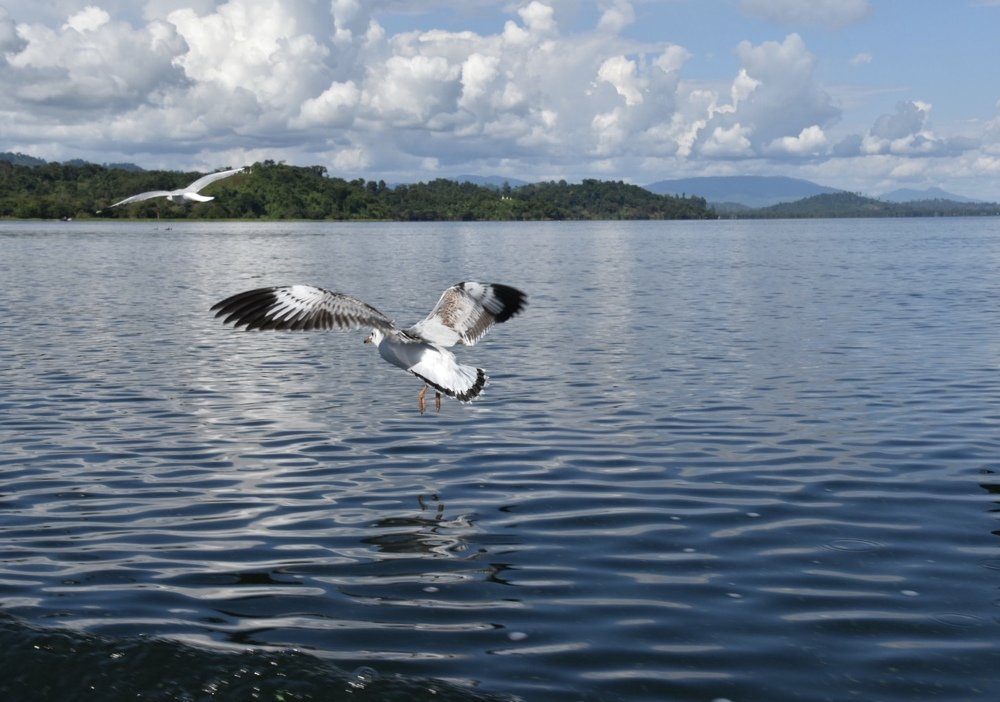 Photograph by Zaw Soe Htike