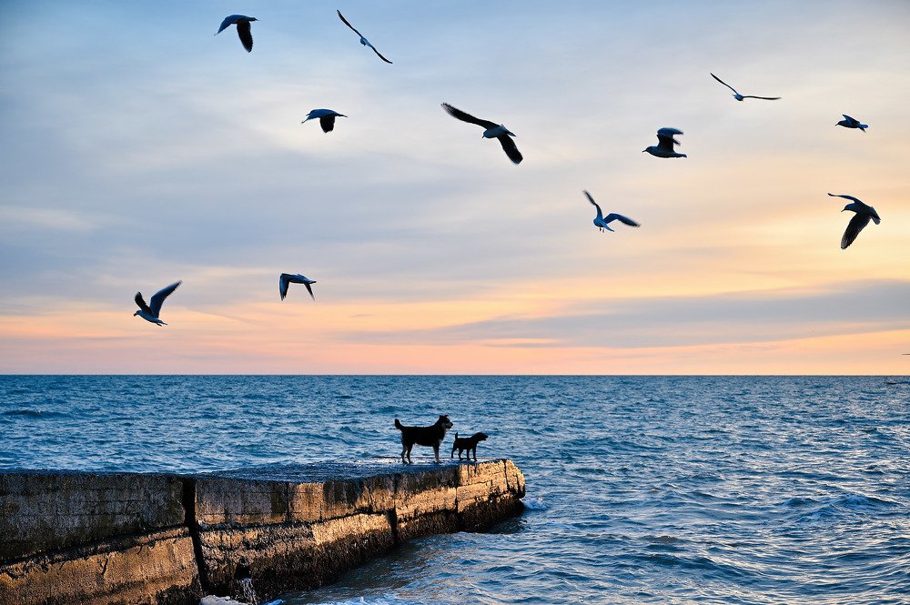 Photograph by Денис Черепко