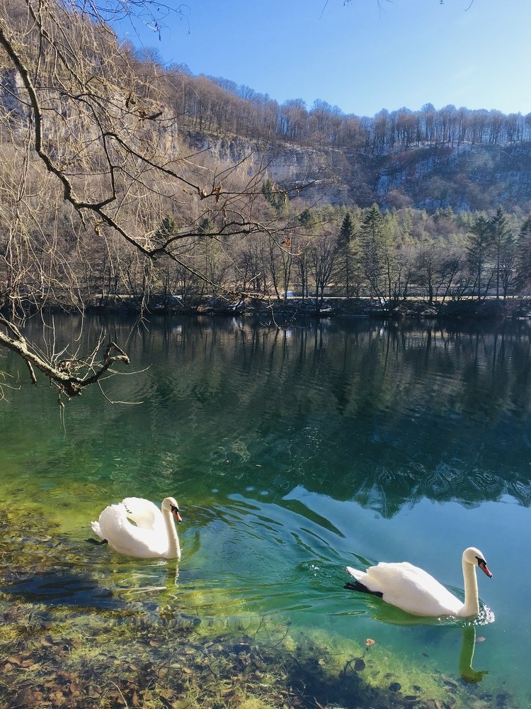 Photograph by Елена Семенова