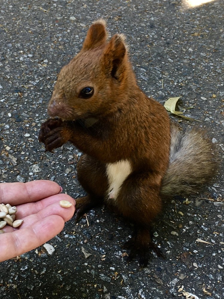 Photograph by Елена Семенова